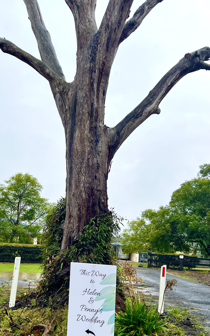 Wedding direction sign at the base of a large tree