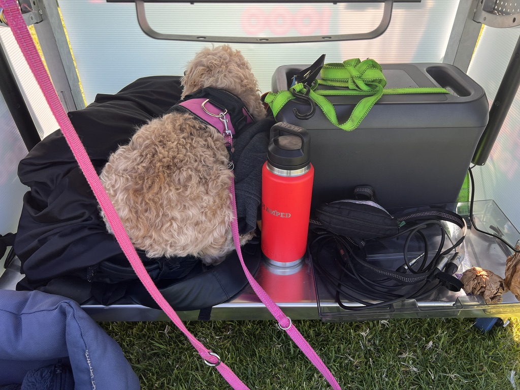Portable battery equipment stored beneath the outdoor DJ booth